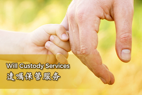 Will Custody Services