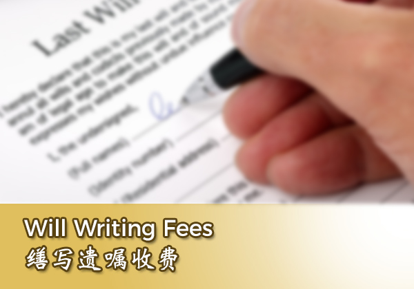 Will Writing Fees